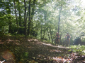1.augustbikerbrunch002