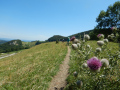 1.augustbikerbrunch012