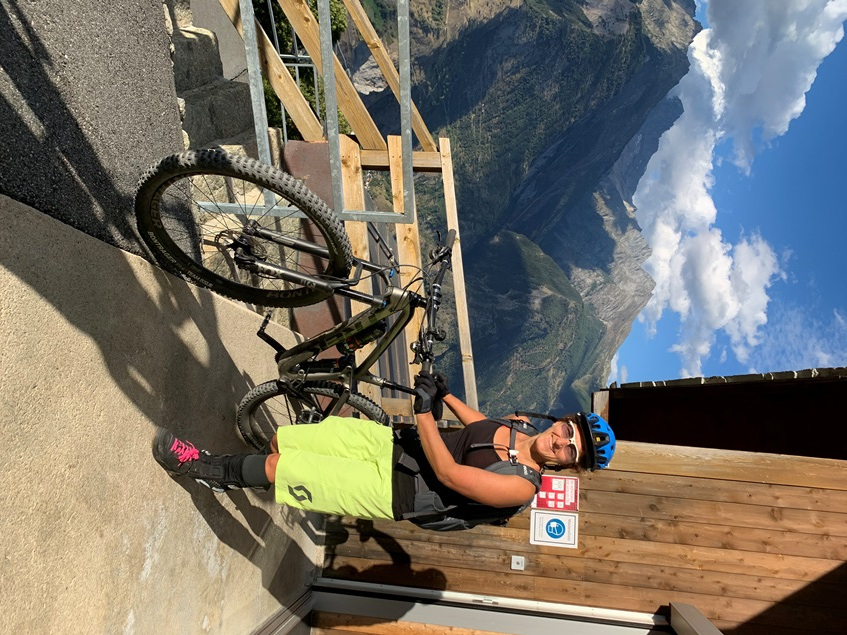 Wallis2020108