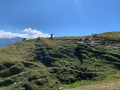 Wallis2020105