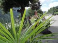 Bikeweekend_Davos_2019403