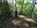 E-Bike-Kurs8