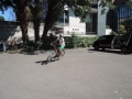 Gigathlon_Bike-Trainingsday_180617065